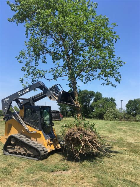 pulling trees from bucket